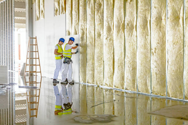 Best Types of Insulation in Amargosa Valley, NV